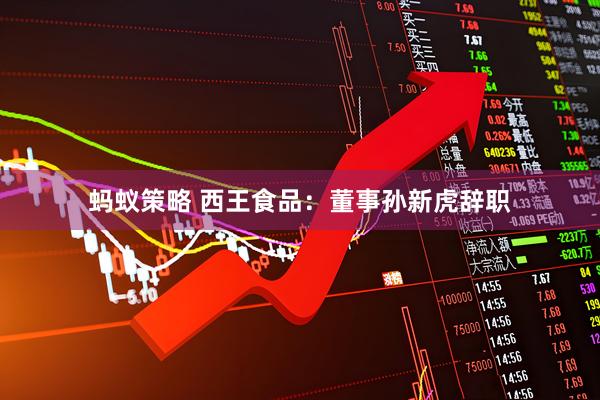 蚂蚁策略 西王食品：董事孙新虎辞职