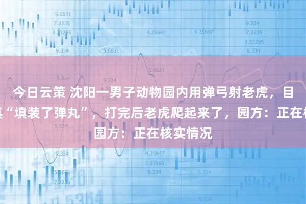 今日云策 沈阳一男子动物园内用弹弓射老虎，目击者称其“填装了弹丸”，打完后老虎爬起来了，园方：正在核实情况