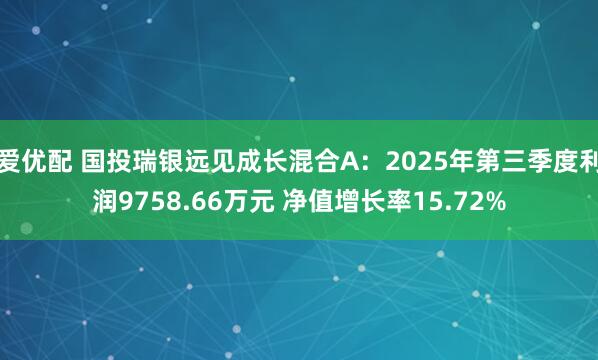 爱优配 国投瑞银远见成长混合A：2025年第三季度利润9758.66万元 净值增长率15.72%