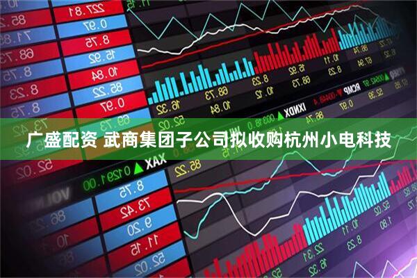 广盛配资 武商集团子公司拟收购杭州小电科技