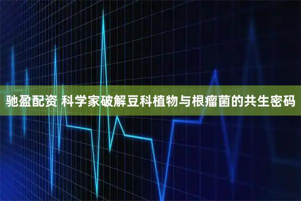 驰盈配资 科学家破解豆科植物与根瘤菌的共生密码